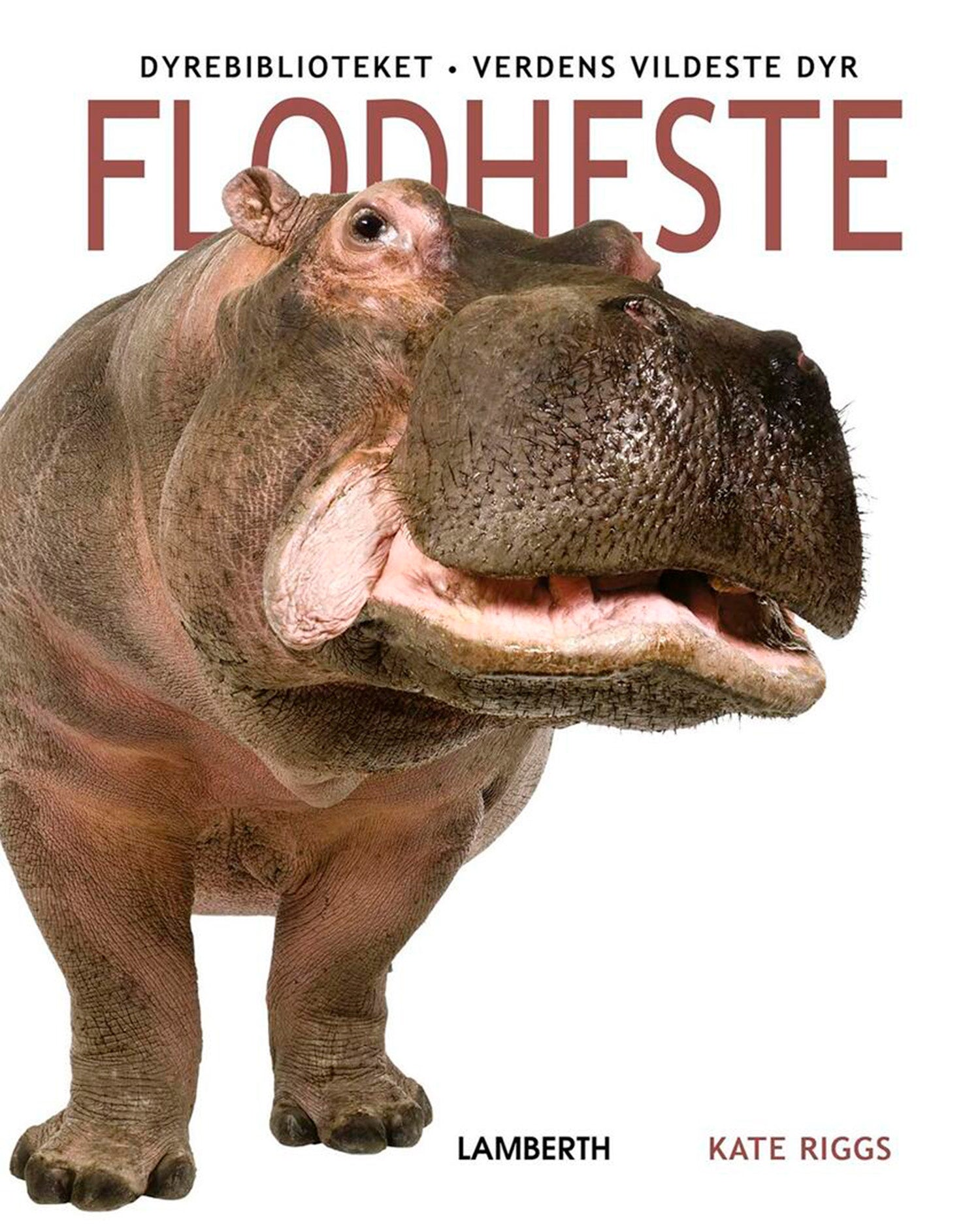 Forside billede